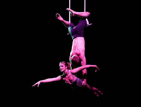 Aerialists Brisbane - Trapeze Artists - Aerial Entertainment Performers