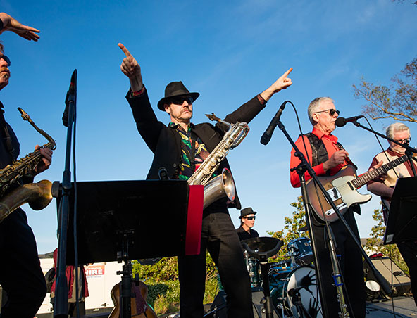 Sydney Cover Band The Bellhops